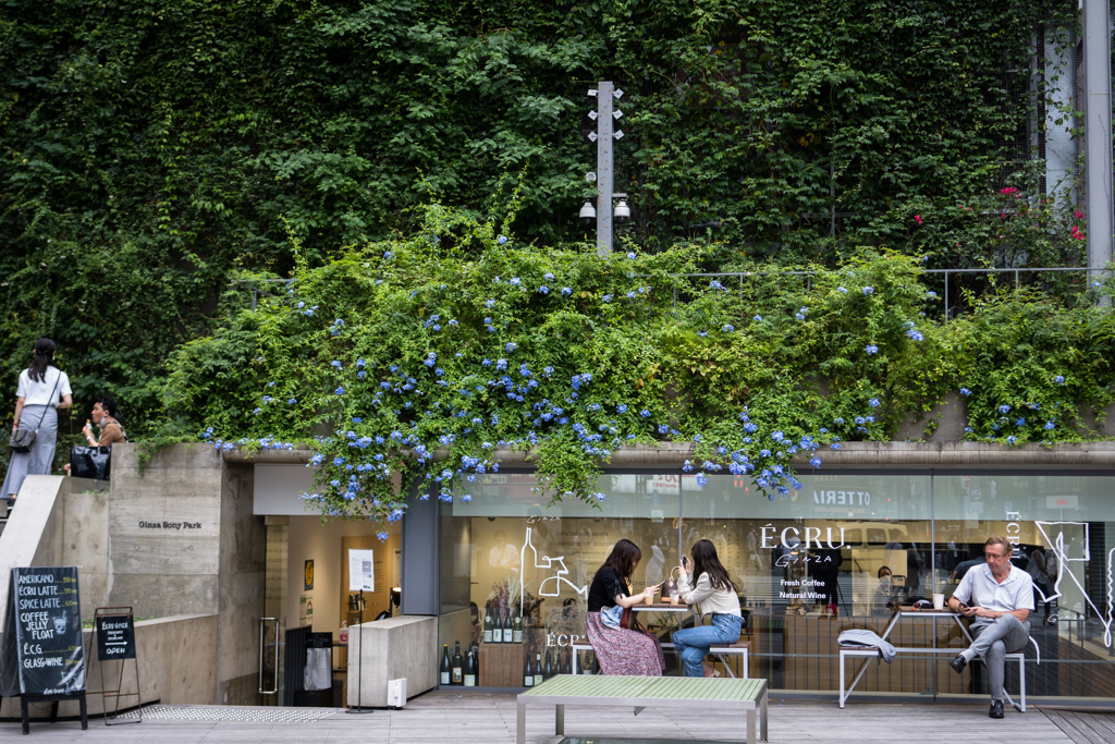 Urban oasis♪