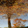 Before winter comes♪