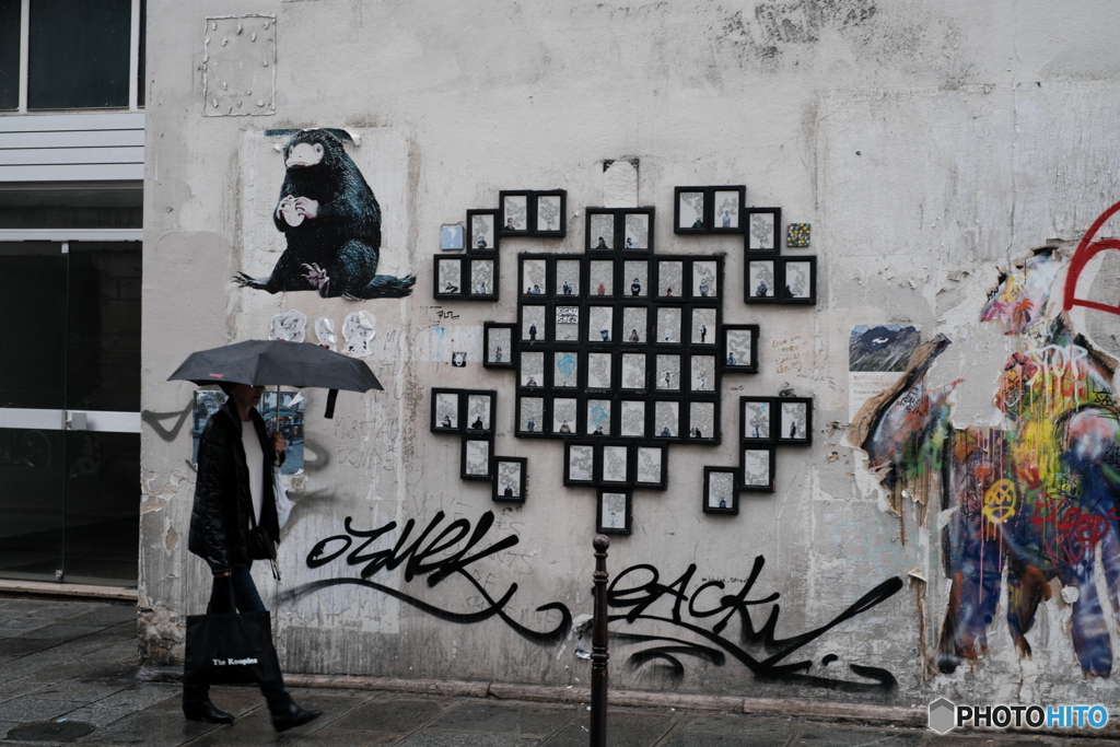 Sentier de pluie♪