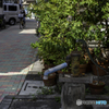 old unused well♪