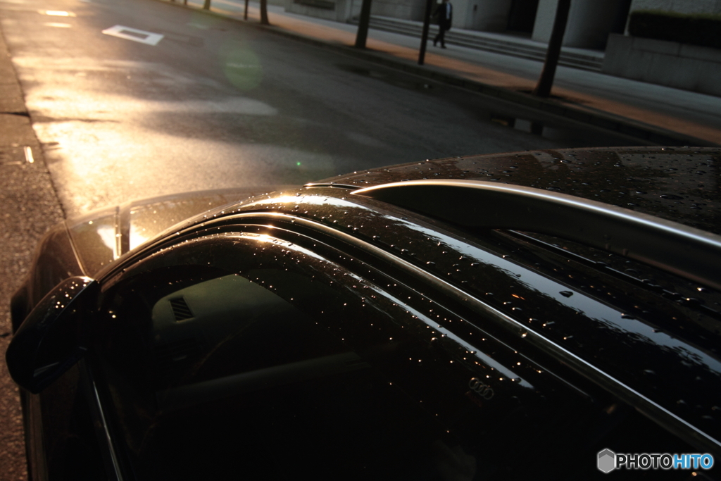 Sunny after rain♪
