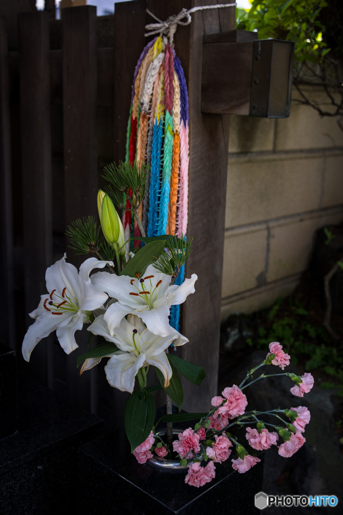 お供えの花♪
