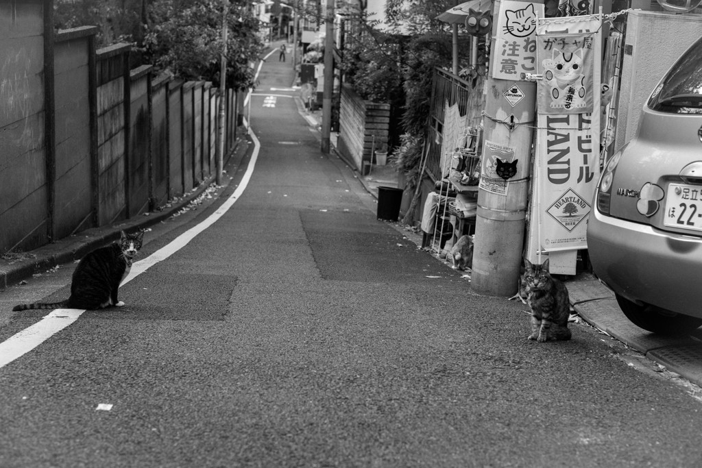谷中の関