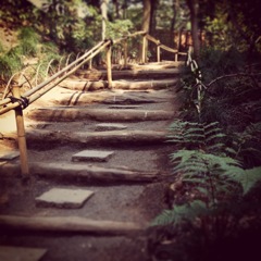 walk slowly
