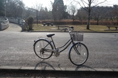 自転車と公園