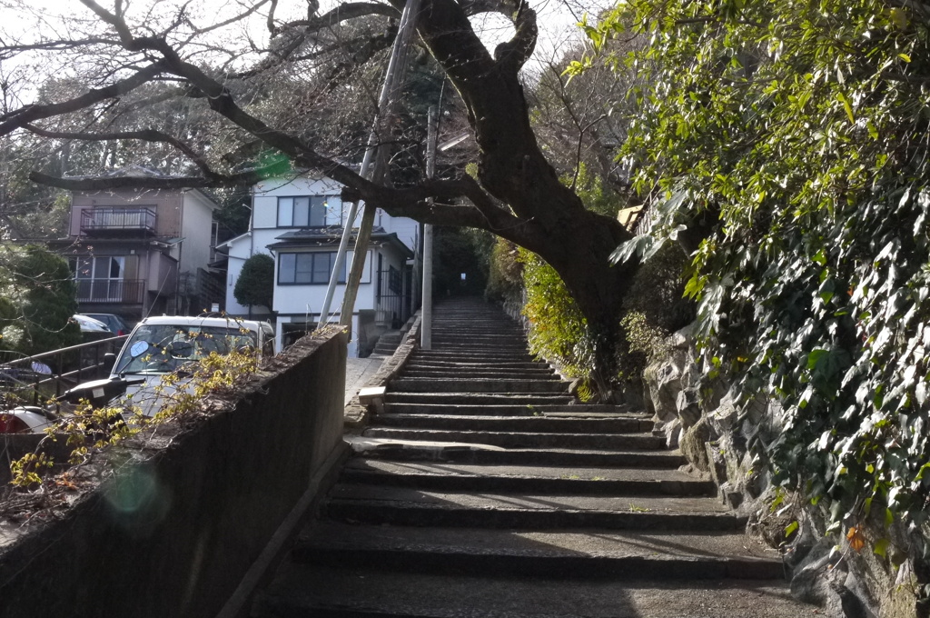 耳をすませば