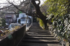 耳をすませば