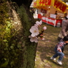 桜、少女咲く