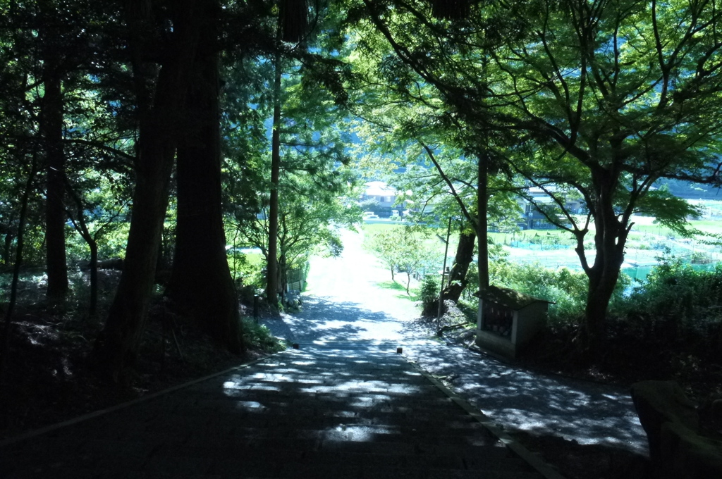 夏の入口