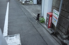 京都からね。