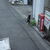 京都からね。