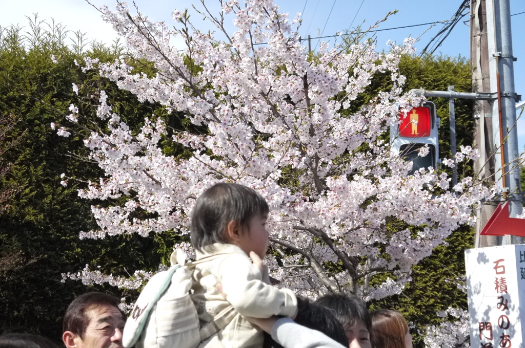 春日和