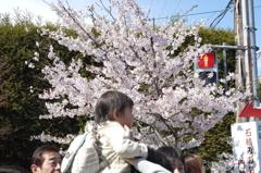 春日和