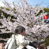 春日和