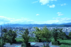 造形大から