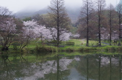 朝の公園 