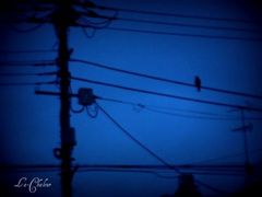 夜明け前