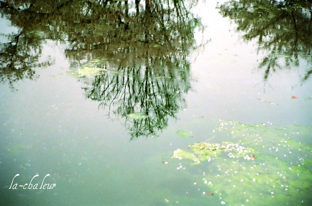 心の鏡