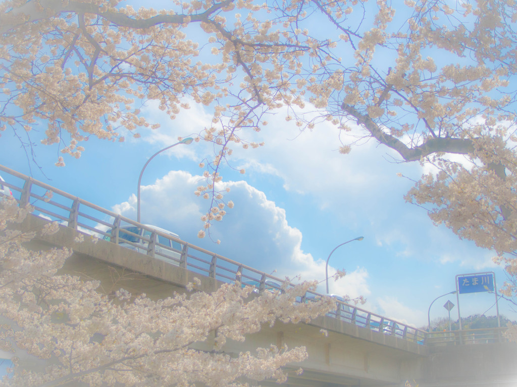 春の陽気