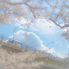 春の陽気