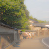 古都めぐり