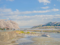 多摩川に春がきた－１