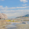 多摩川に春がきた－１
