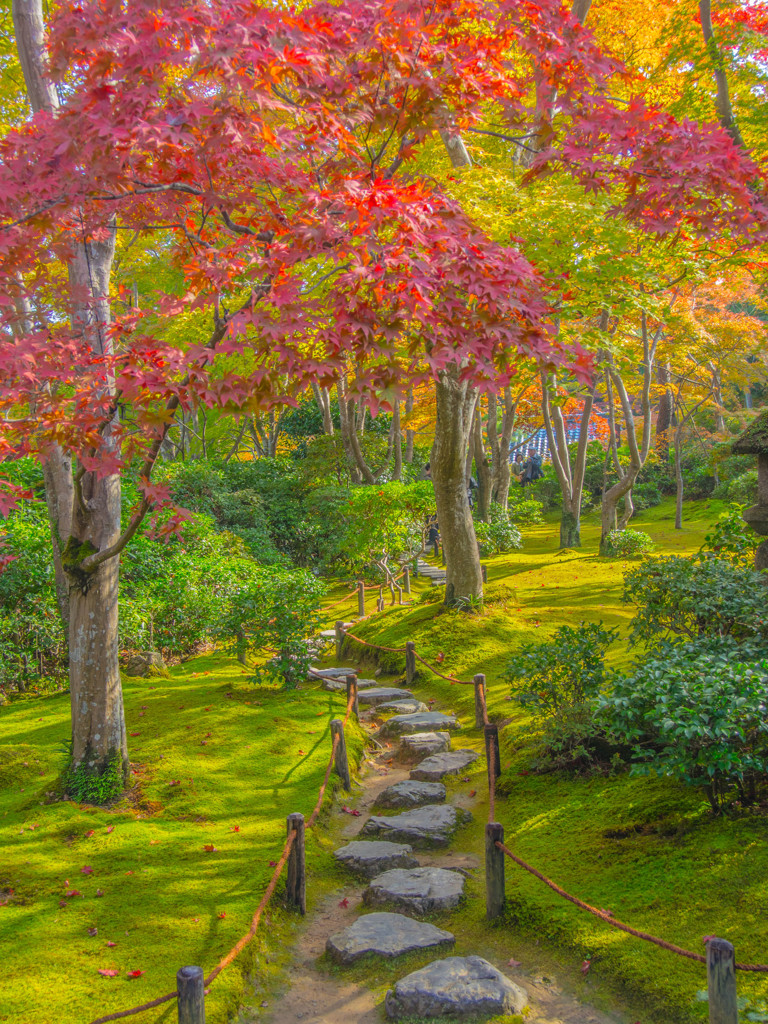秋の庭園－２