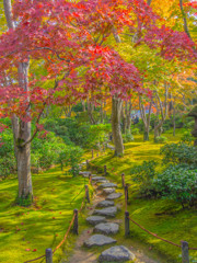 秋の庭園－２