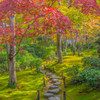 秋の庭園－２