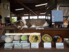 看板ねこ