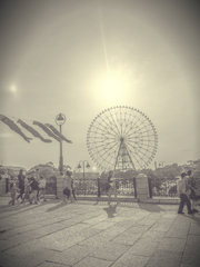 5月の風景
