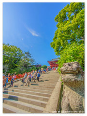 鶴岡八幡宮