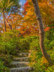 秋の庭園－１