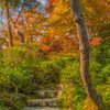 秋の庭園－１