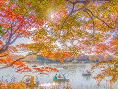 池の畔の秋－２