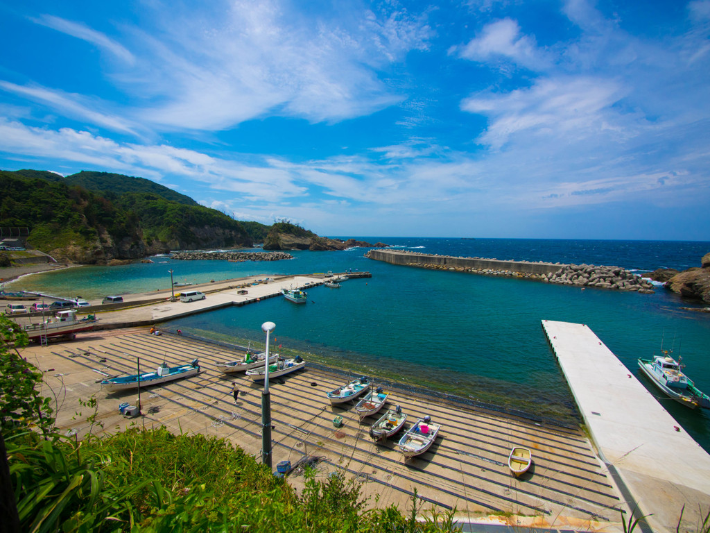 夏の海