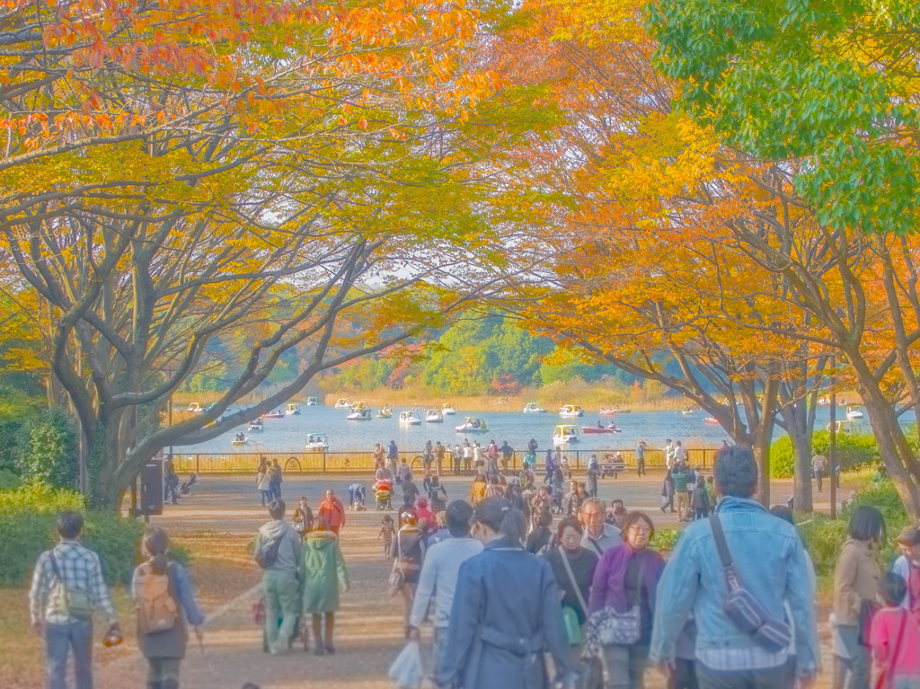 秋の公園