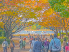 秋の公園