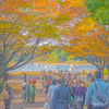 秋の公園