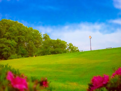 公園