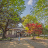 足利学校－２