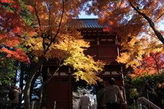 お寺の秋