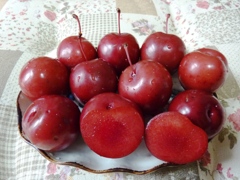 スモモ（ハリウッド）