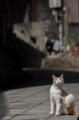 いま、至福の時