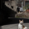 いま、至福の時