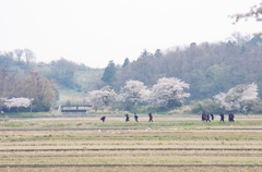日常日和