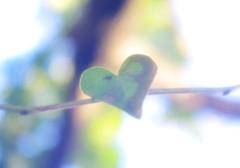 Hearty