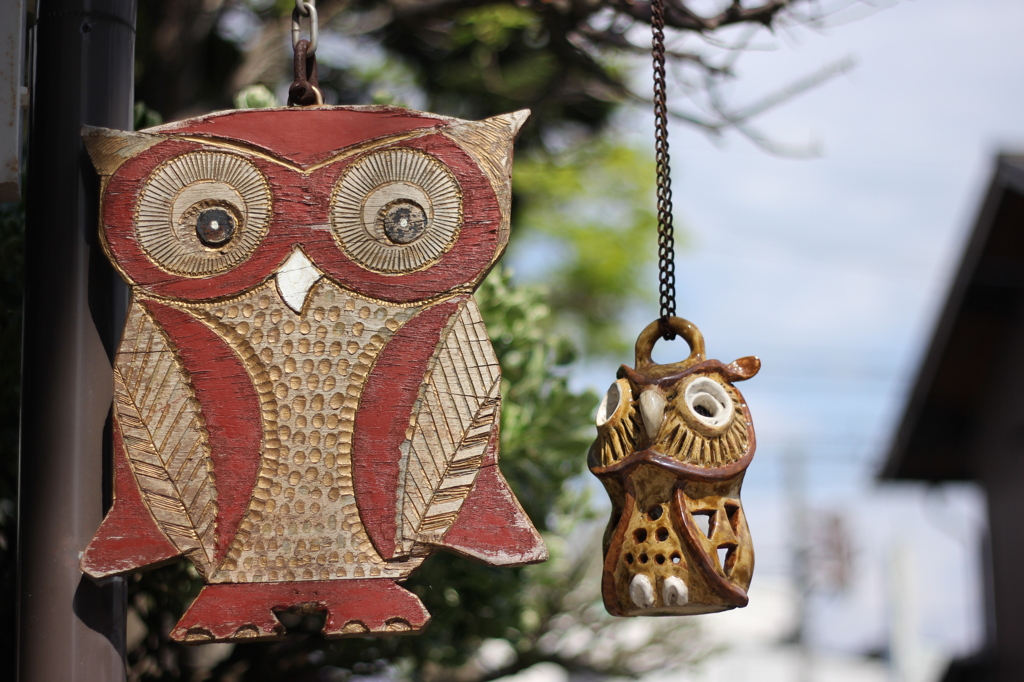 今日はどこ行く？