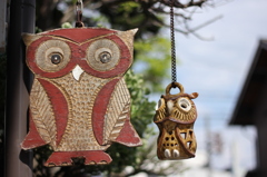 今日はどこ行く？